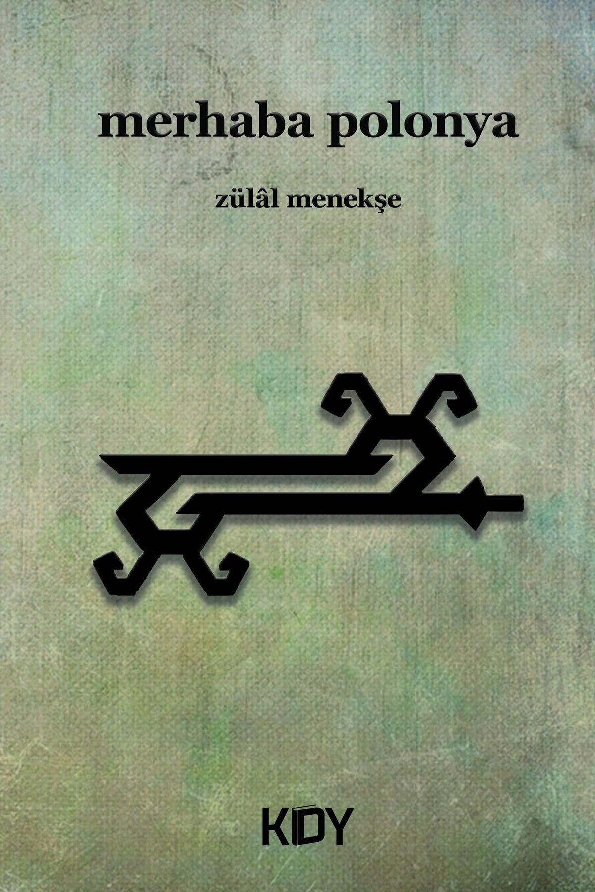 Merhaba Polonya - Zülal Menekşe kitap kapağı
