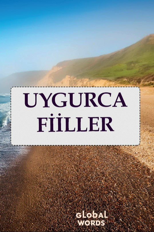 Uygurca Fiiller - Kolektif kitap kapağı