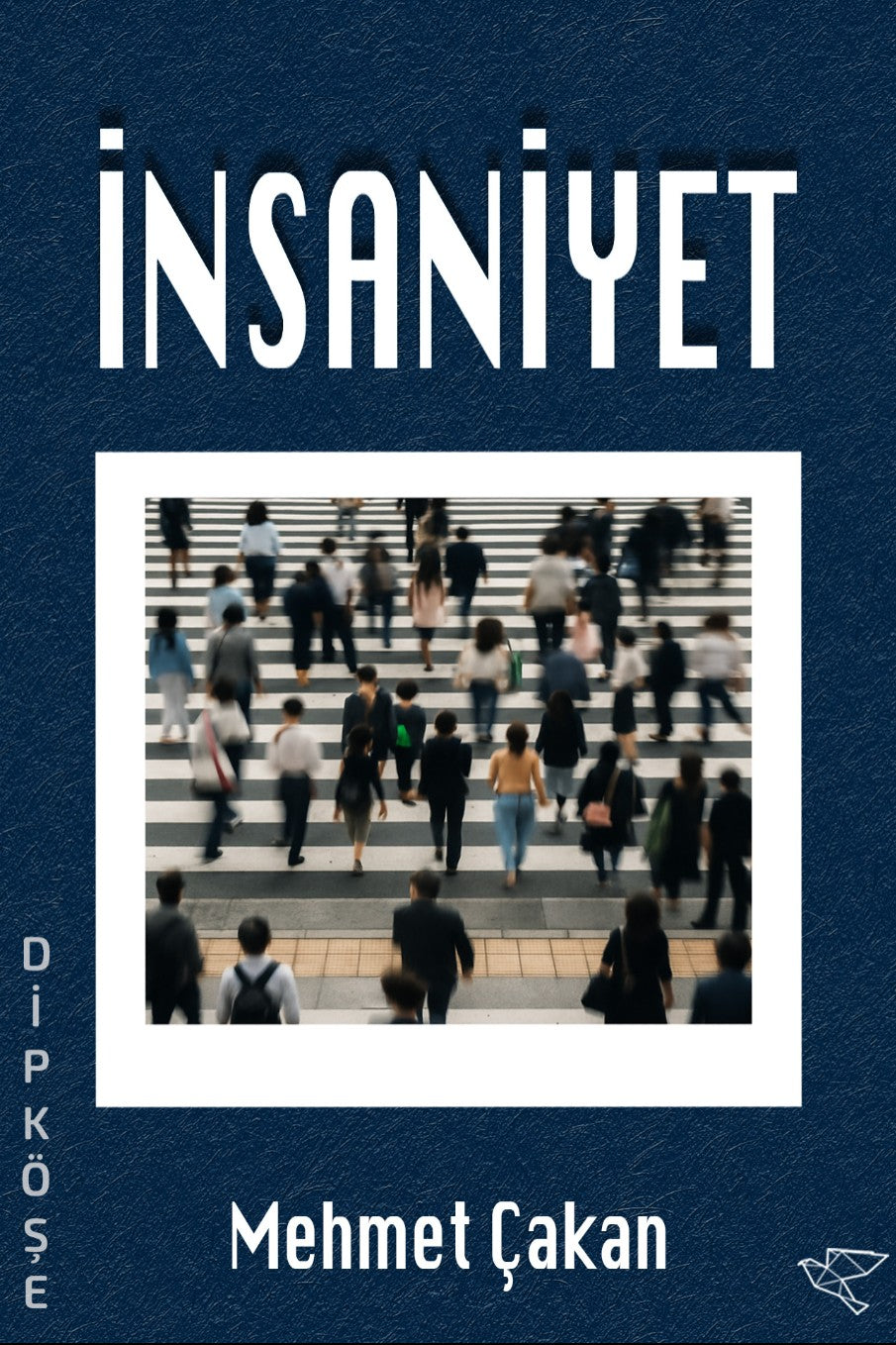 İnsaniyet - Mehmet Çakan kitap kapağı
