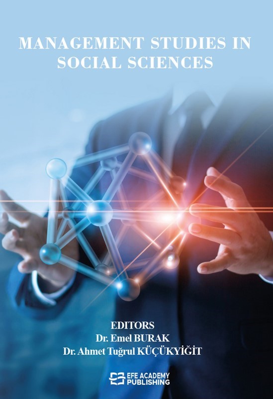 Management Studies in Social Sciences - Dr. Öğretim Üyesi Emel Burak kitap kapağı