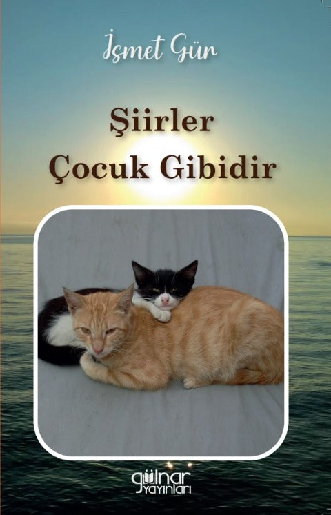 Şiirler Çocuk Gibidir - İsmet Gür kitap kapağı