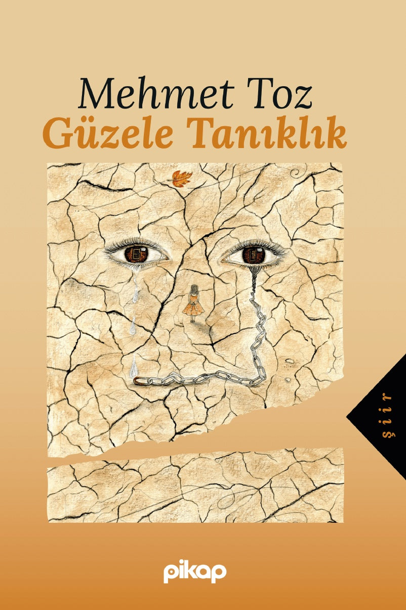 Güzele Tanıklık - Mehmet Toz kitap kapağı