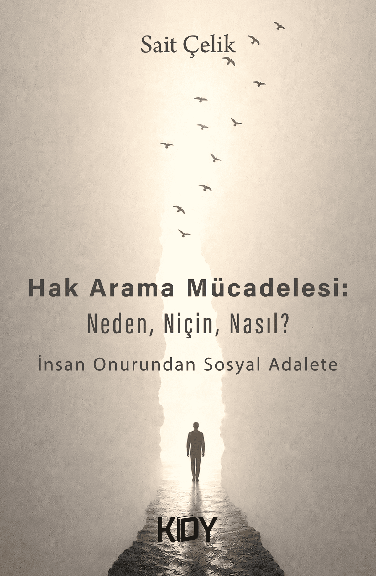 Hak Arama Mücadelesi: Neden, Niçin, Nasıl? - Sait Çelik kitap kapağı