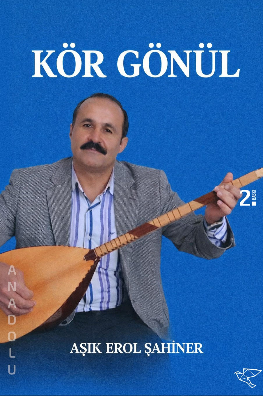 Gör Gönül - Erol Şahiner kitap kapağı