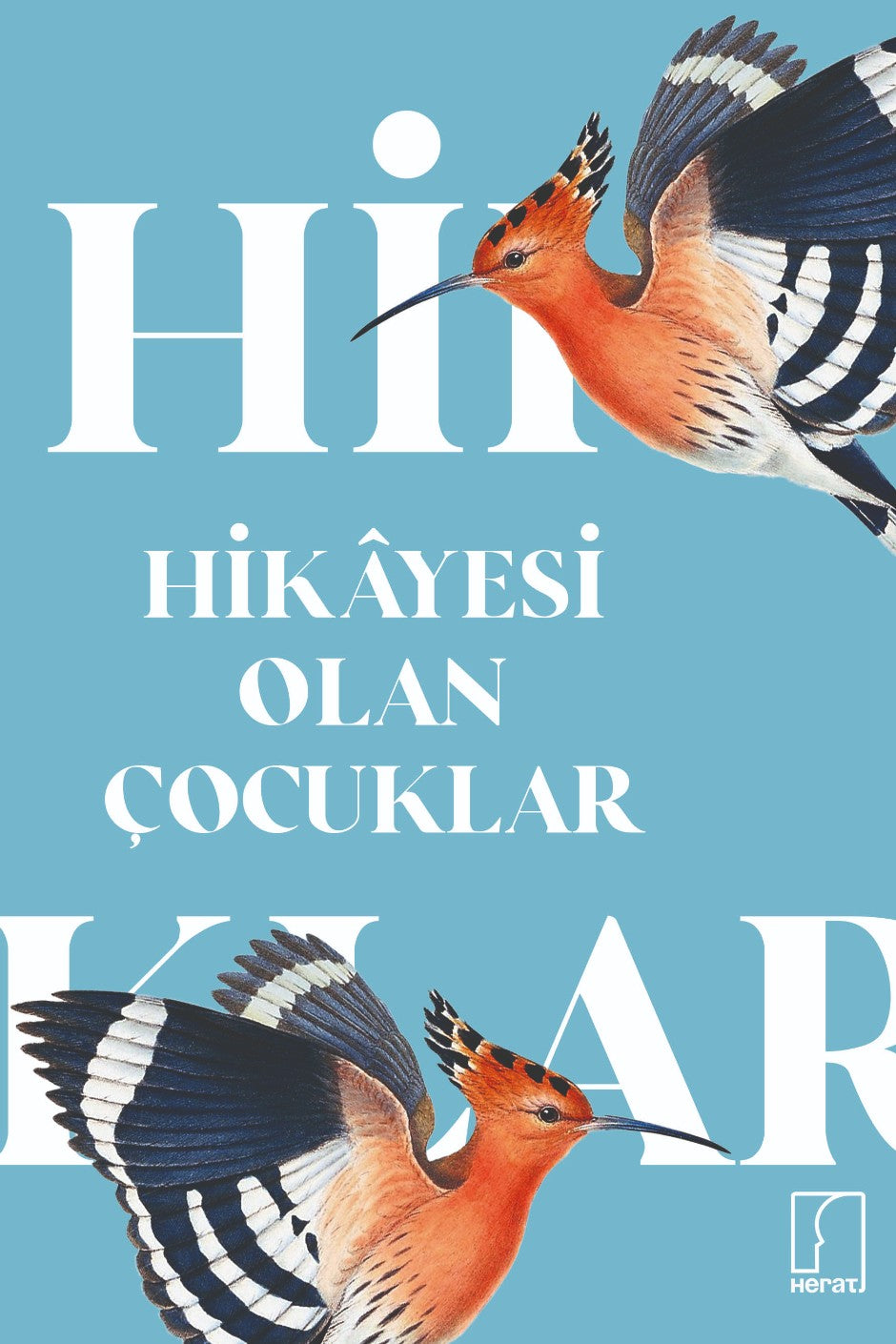 Hikayesi Olan Çocuklar - Selim Somuncu kitap kapağı
