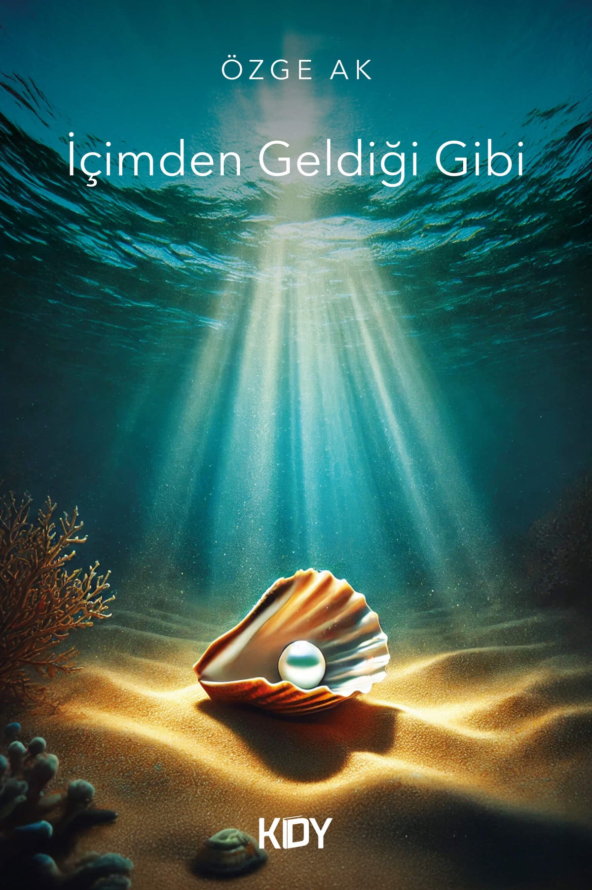İçimden Geldiği Gibi - Özge Ak kitap kapağı