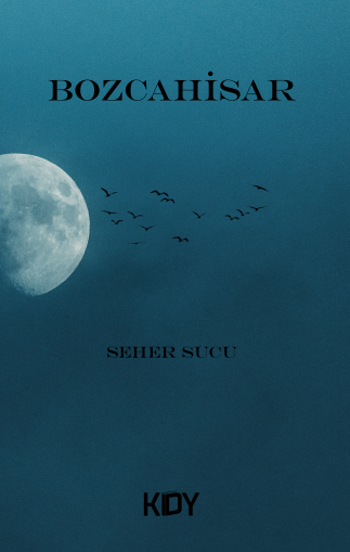 Bozcahisar - Seher Sucu kitap kapağı
