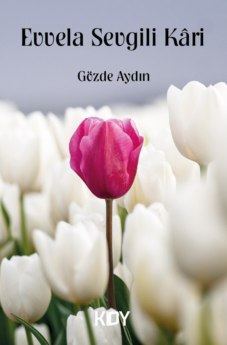 Evvela Sevgili Kari - Gözde Aydın kitap kapağı