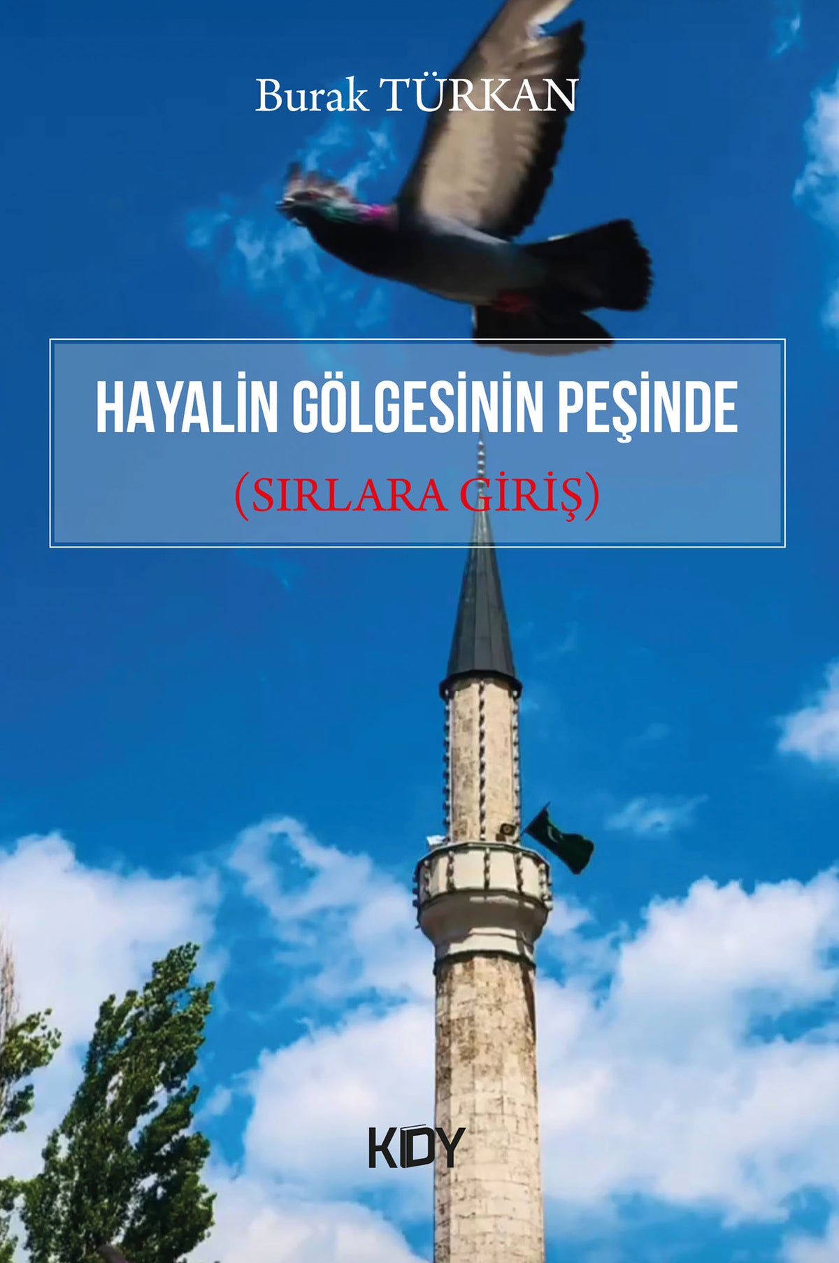 Hayalin Gölgesinin Peşinde - Burak Türkan kitap kapağı