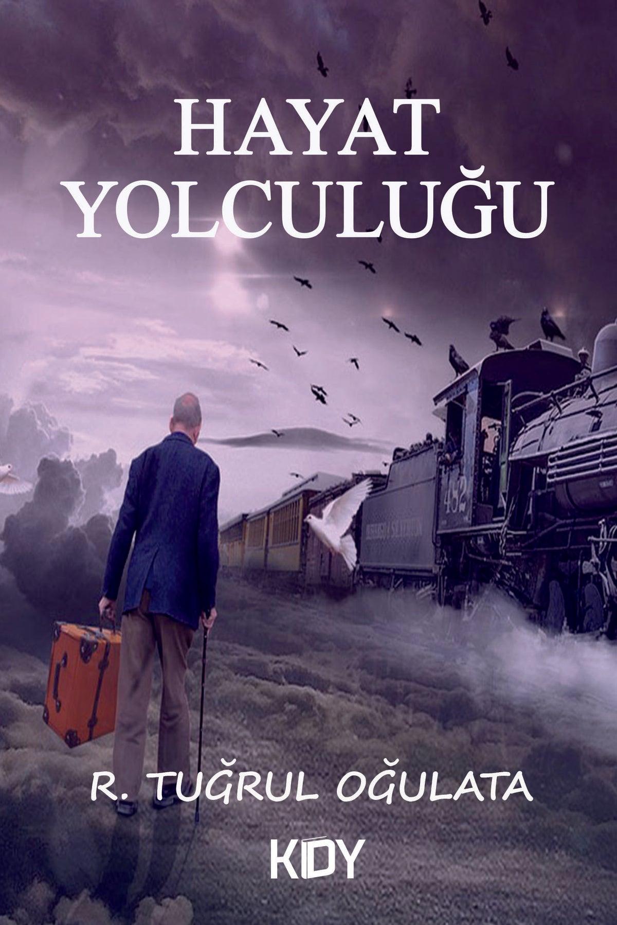 Hayat Yolculuğu - Ramazan Tuğrul Oğulata kitap kapağı