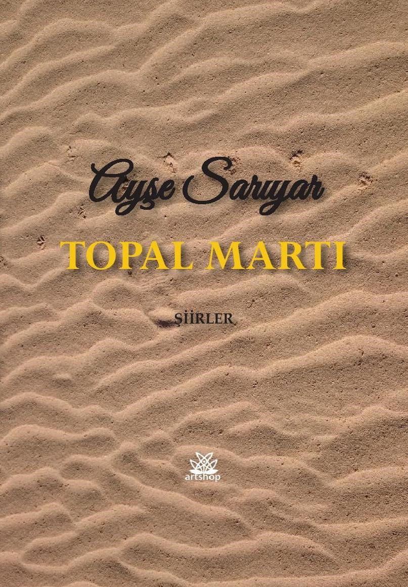 Topal Martı - Ayşe Sarıyar kitap kapağı