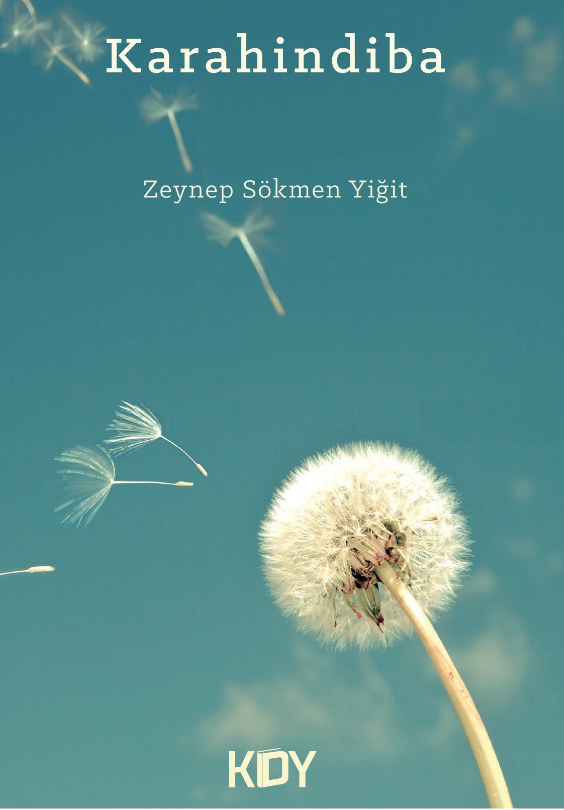 Karahindiba - Zeynep Sökmen kitap kapağı