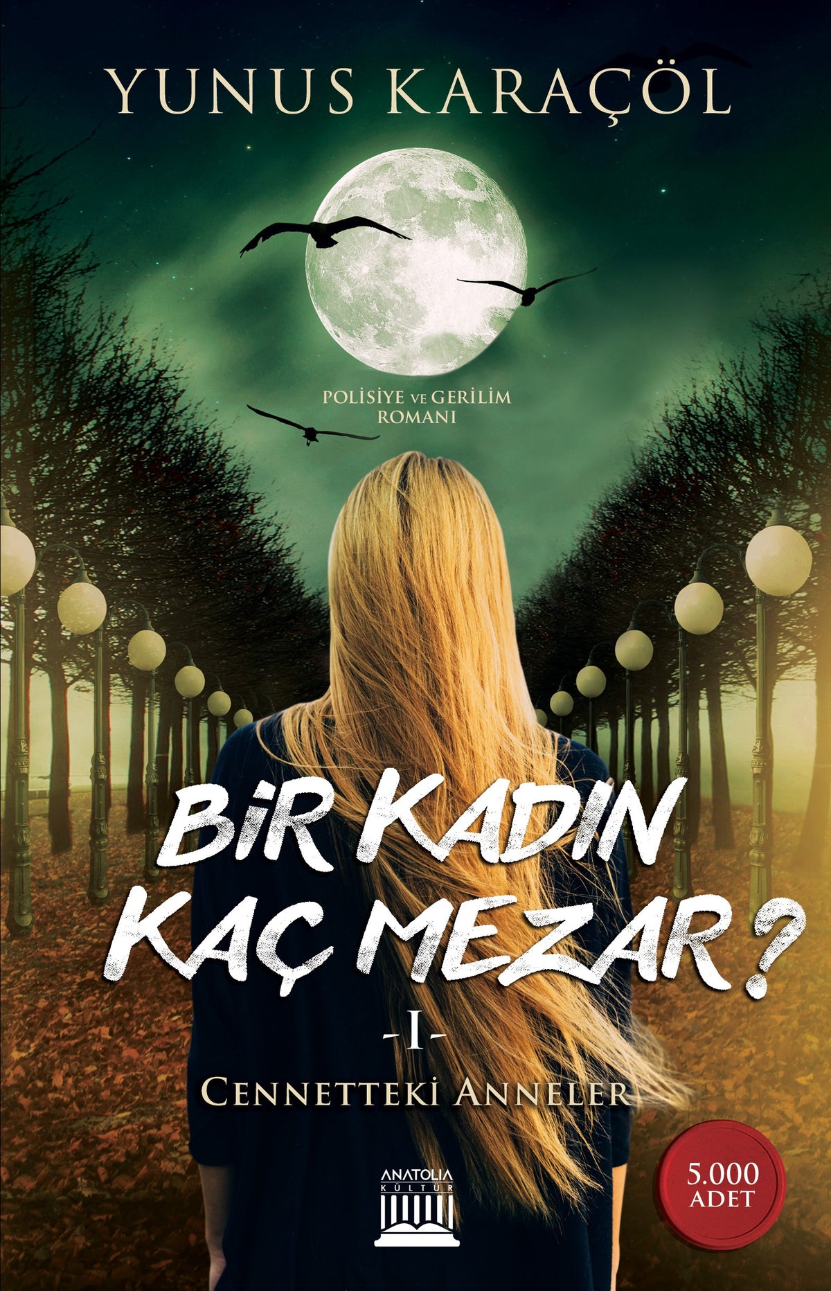 Bir Kadın Kaç Mezar ? - Yunus Karaçöl kitap kapağı