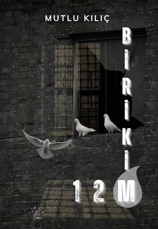 Birikim - Mutlu Kılıç kitap kapağı