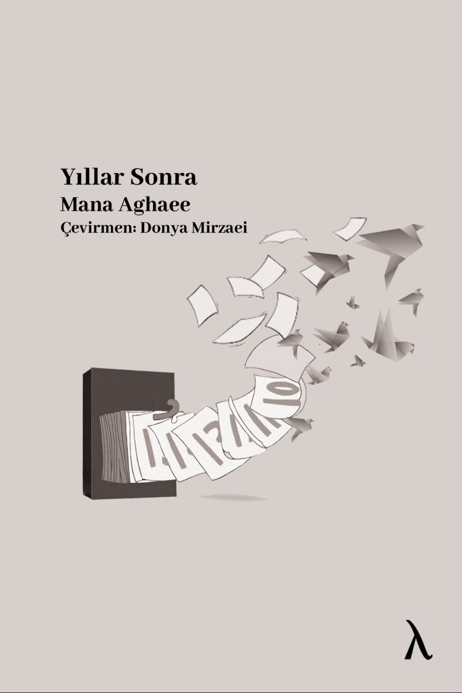 Yıllar Sonra - Mana Aghaee kitap kapağı