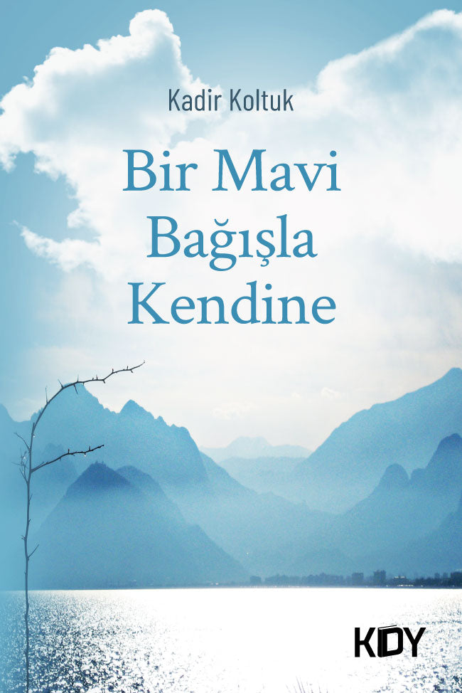 Bir Mavi Bağışla Kendine - Kadir Koltuk kitap kapağı