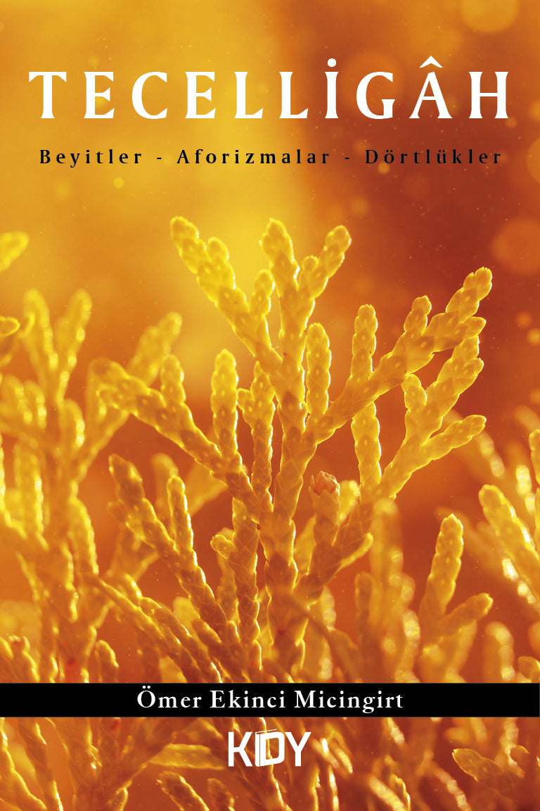 Tecelligah - Ömer Ekinci Micingirt kitap kapağı