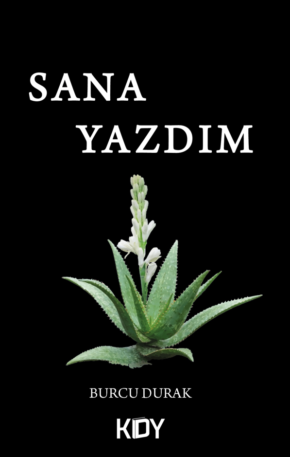 Sana yazdım - Burcu Durak kitap kapağı