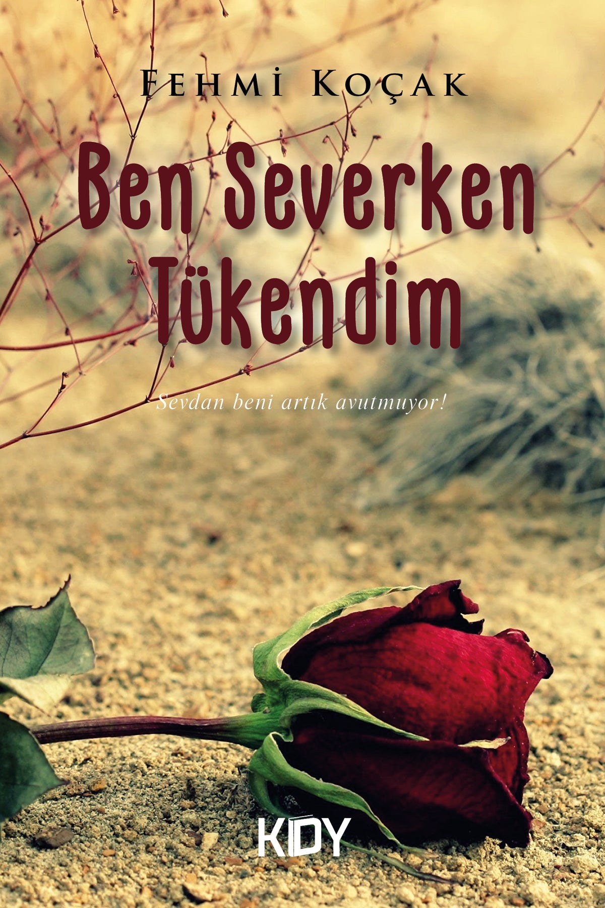 Ben Severken Tükendim - Fehmi Koçak kitap kapağı