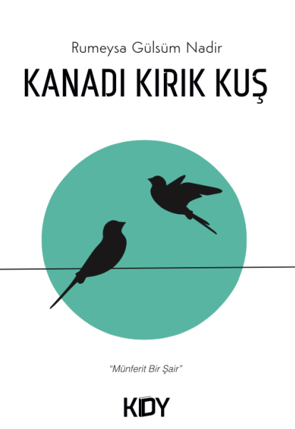 Kanadı Kırık Kuş - Rümeysa Gülsüm Nadir kitap kapağı