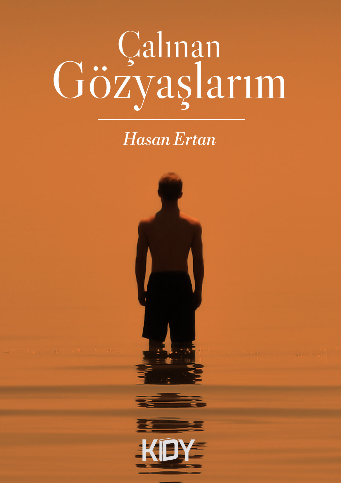Çalınan Gözyaşlarım - Hasan Ertan kitap kapağı