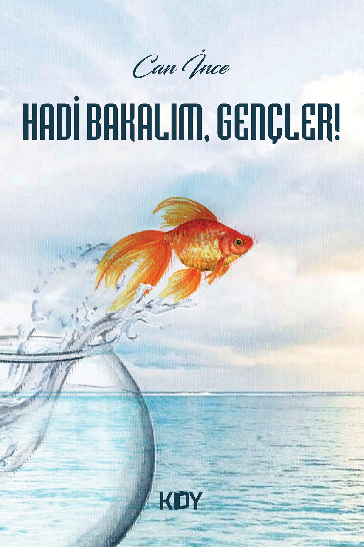 Hadi Bakalım, Gençler! - Can İnce kitap kapağı