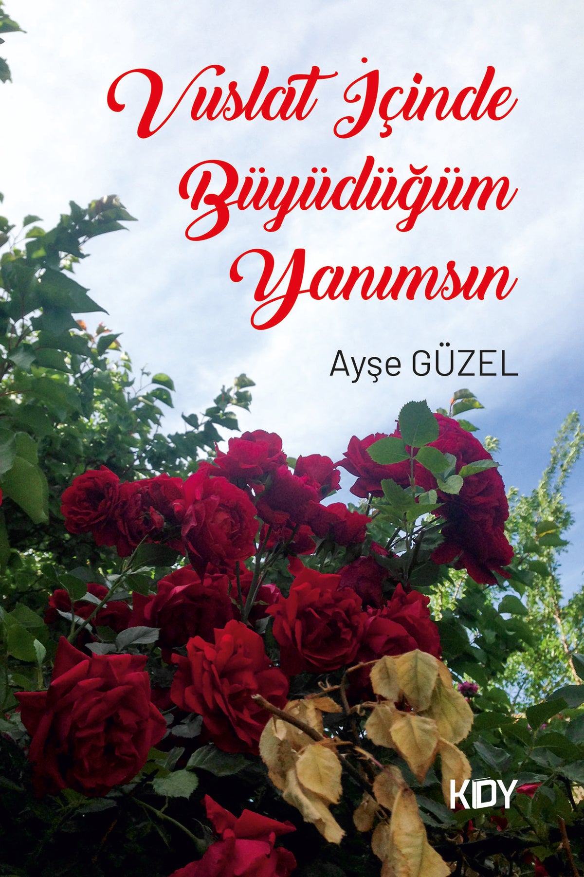 Vuslat İçinde Büyüdüğüm Yanımsın - Ayşe Güzel kitap kapağı