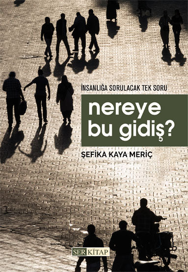 Nereye Bu Gidiş ? İnsanlığa Sorulacak Tek Soru - Şefika Kaya Meriç kitap kapağı