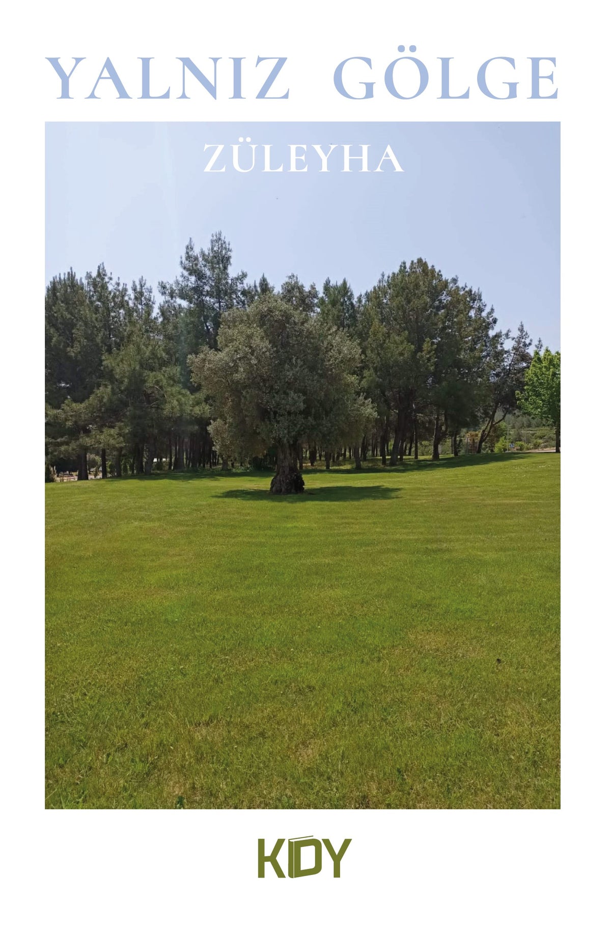 Yalnız Gölge - Züleyha kitap kapağı
