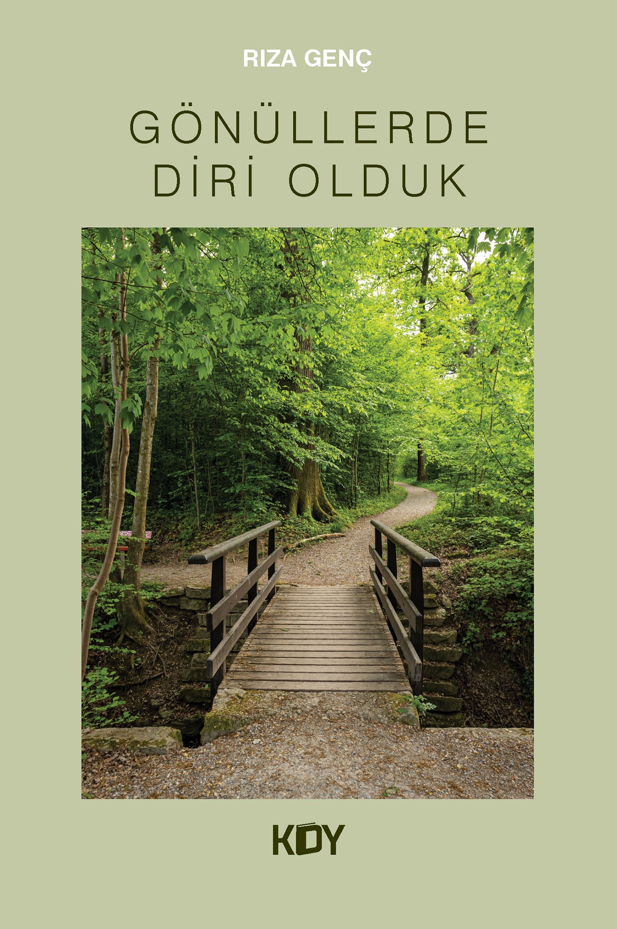 Gönüllerde Diri Olduk - Rıza Genç kitap kapağı