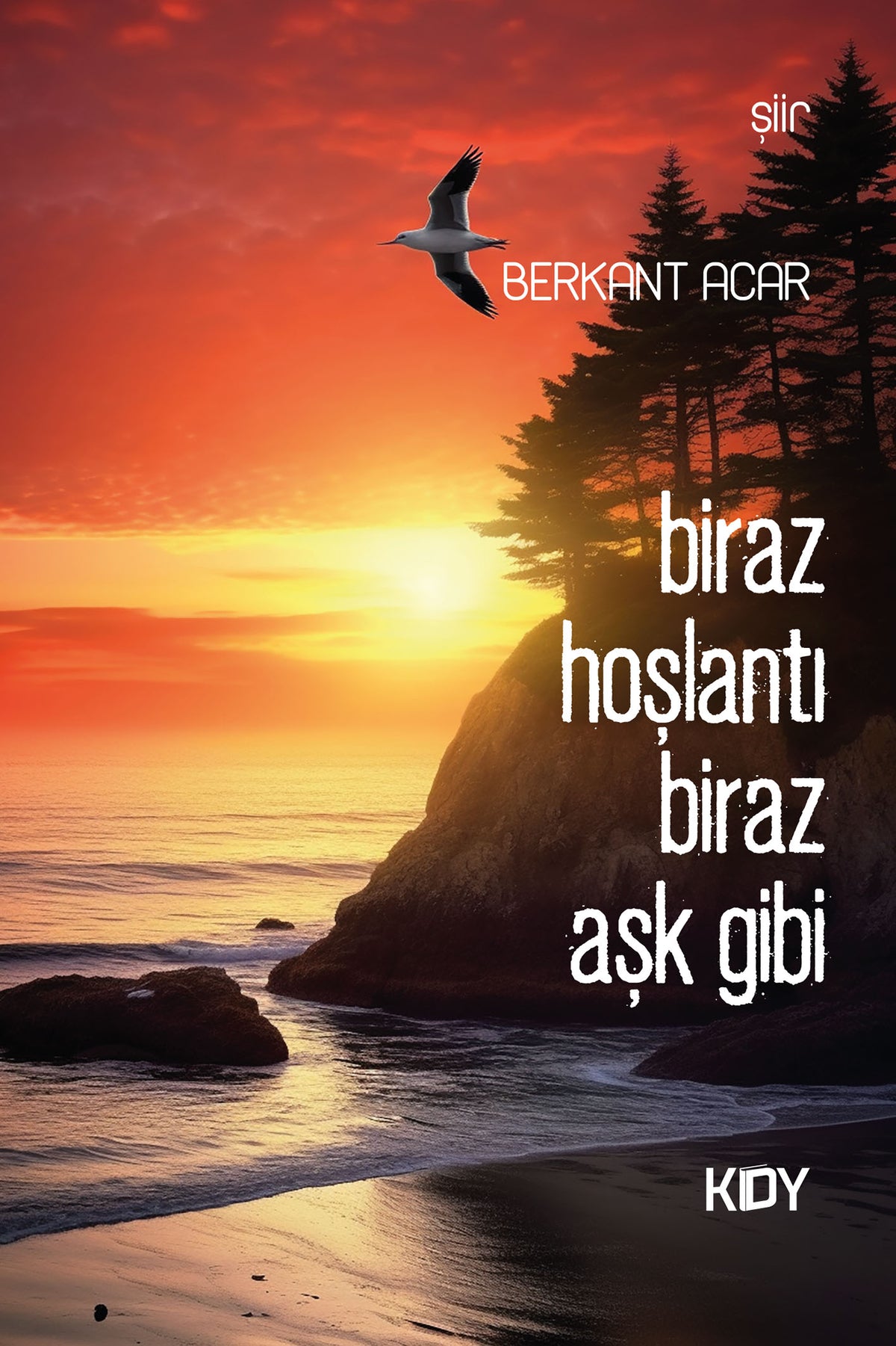 Biraz Hoşlantı Biraz Aşk Gibi - Berkant Acar kitap kapağı