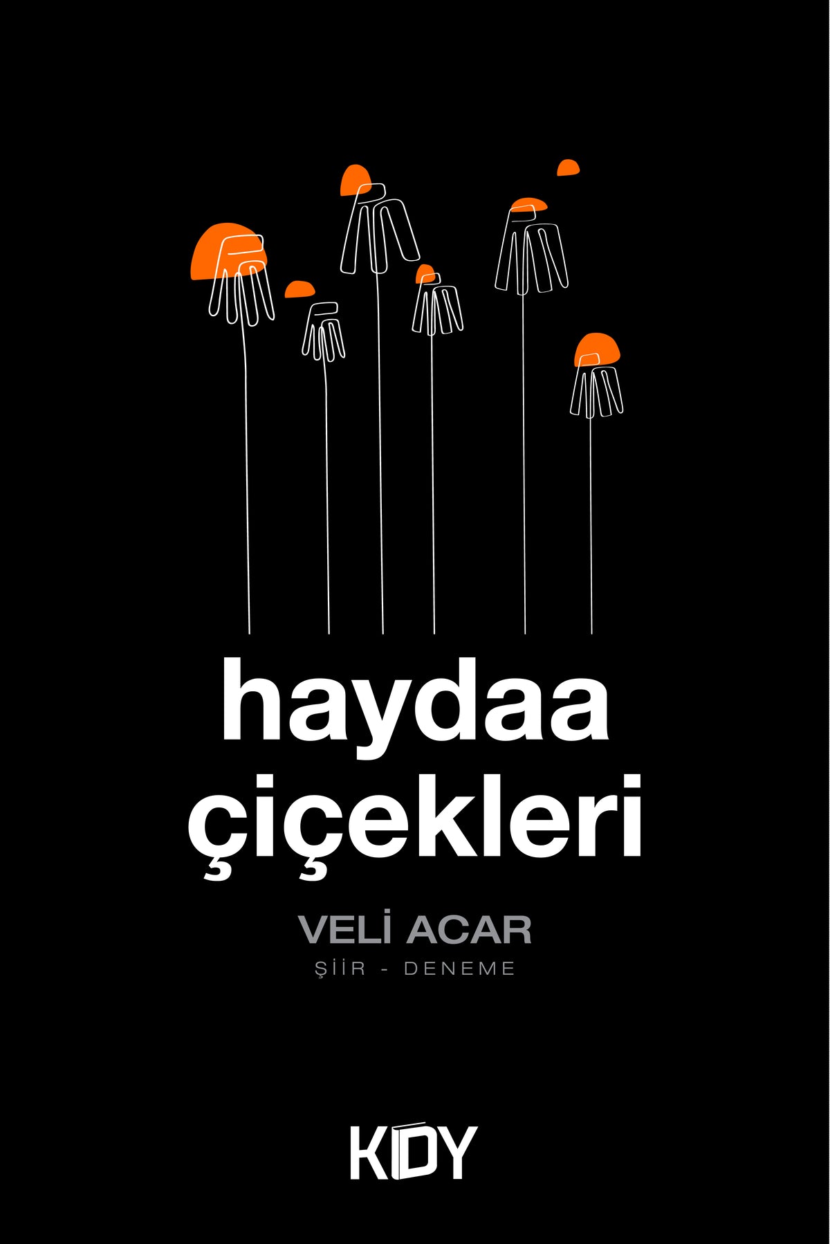 Haydaa Çiçekleri - Veli Acar kitap kapağı