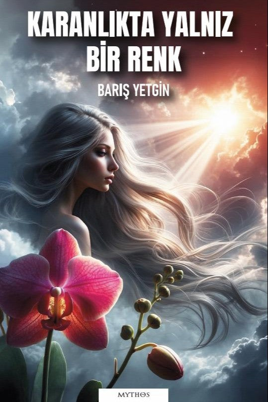 Karanlıkta Yalnız Bir Renk - Barış Yetgin kitap kapağı