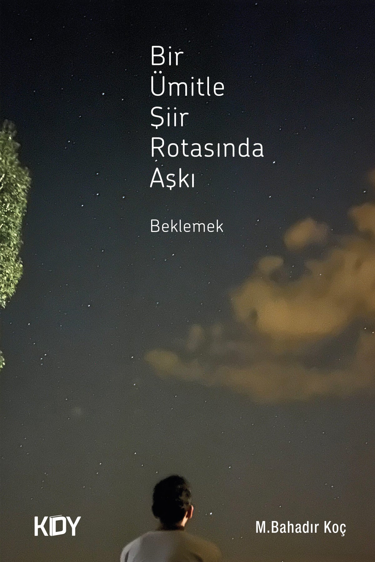 Bir Ümitle Şiir Rotasında Aşkı Beklemek - Muhammet Bahadır Koç kitap kapağı