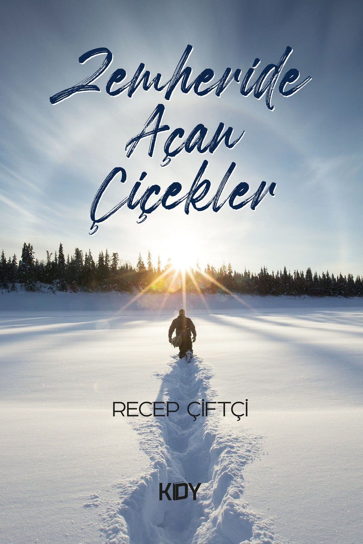 Zemheride Açan Çiçekler - Recep Çiftçi kitap kapağı