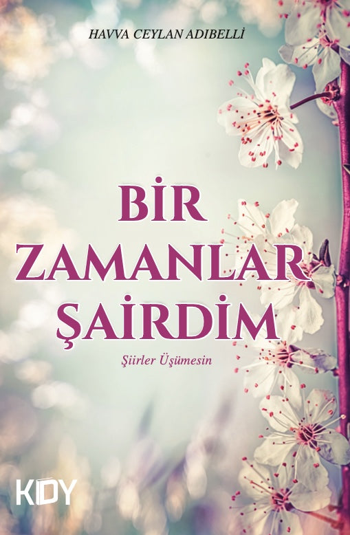 Bir Zamanlar Şairdim - Havva Ceylan Adıbelli kitap kapağı