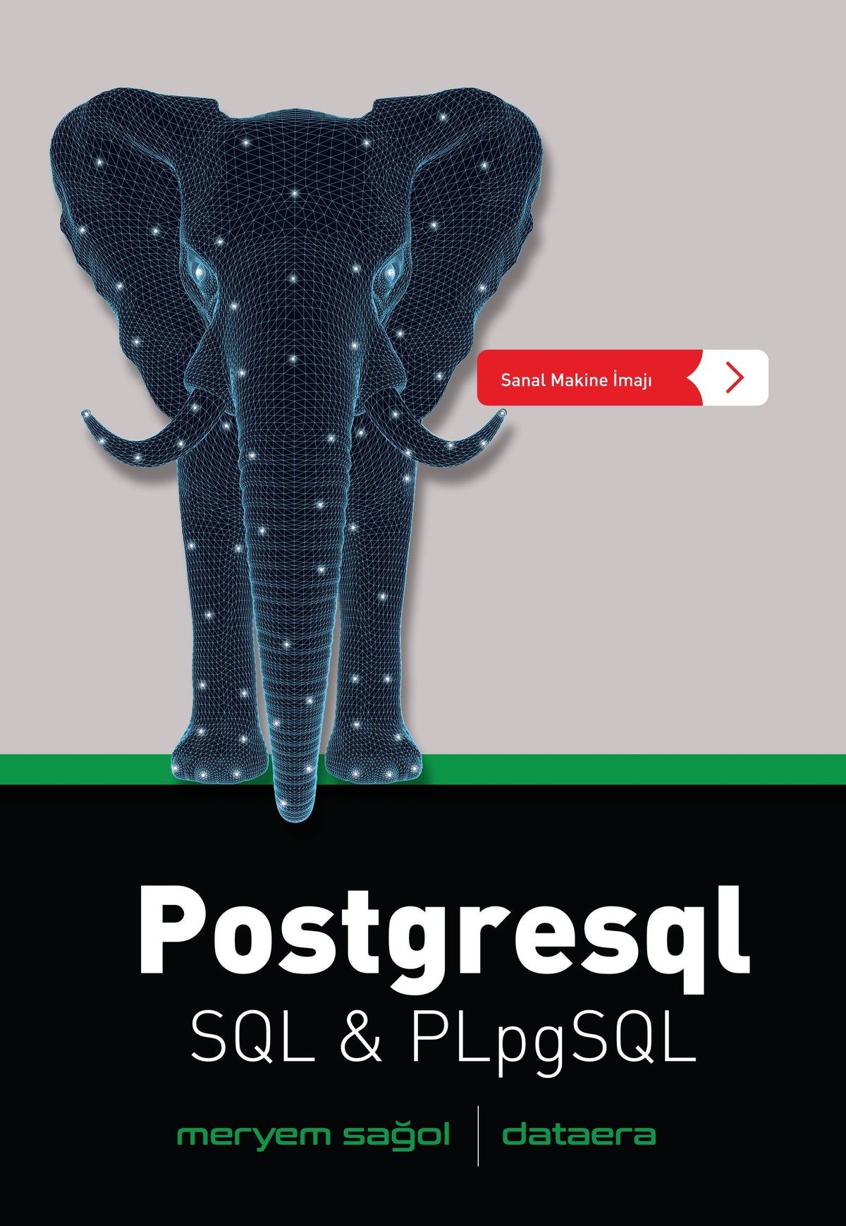Postgresql SQL PLpgSQL (Veritabanı Programlama) - Meryem Sağol kitap kapağı