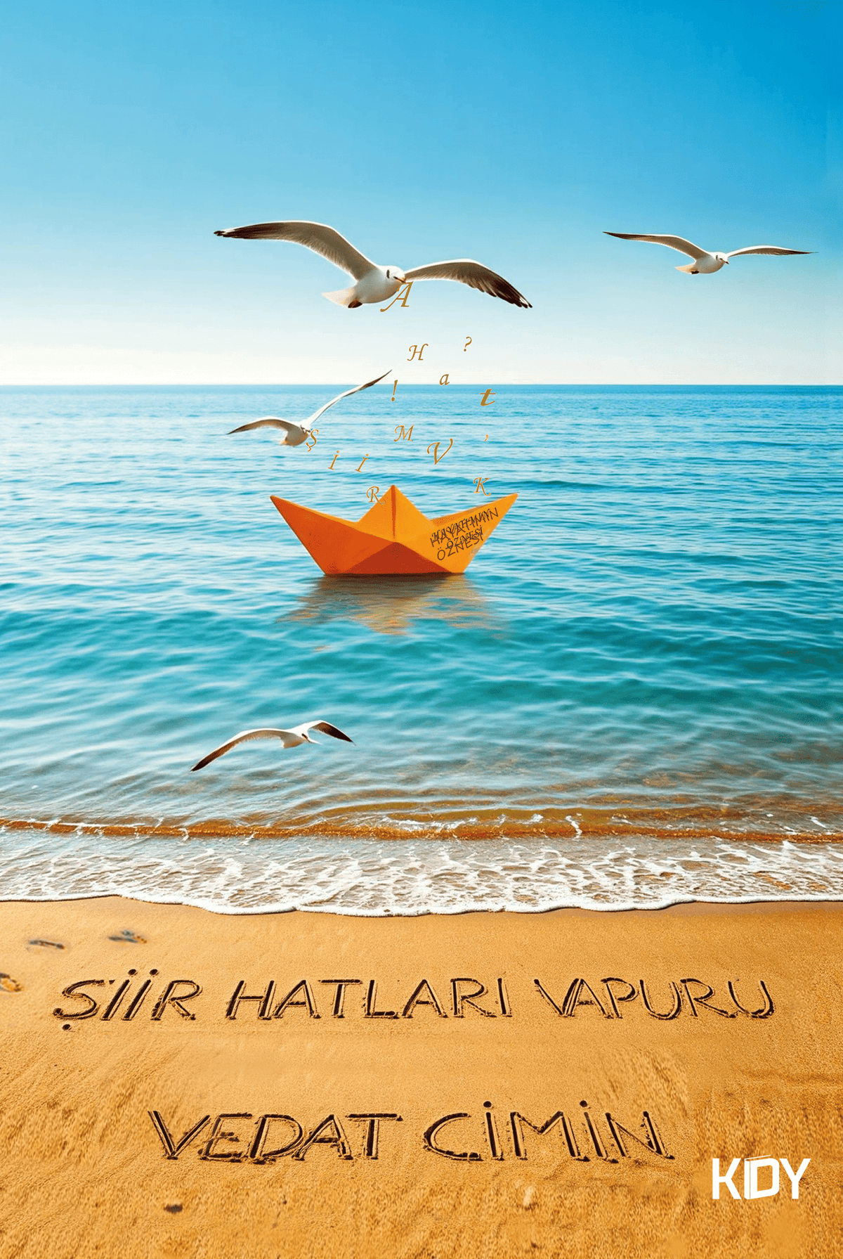 Şiir Hatları Vapuru - Vedat Cimin kitap kapağı