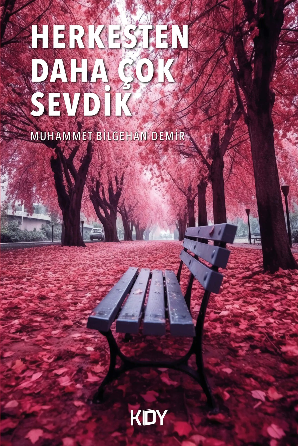 Herkesten Daha Çok Sevdik - Muhammet Bilgehan Demir kitap kapağı