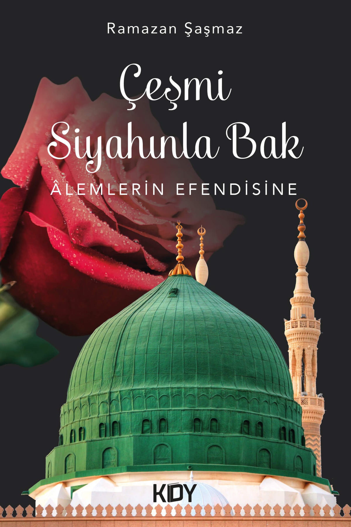 Çeşmi Siyahınla Bak - Ramazan Şaşmaz kitap kapağı