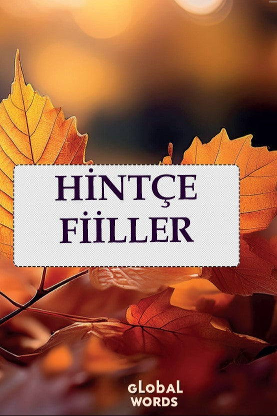 Hintçe Fiiller - Kolektif kitap kapağı