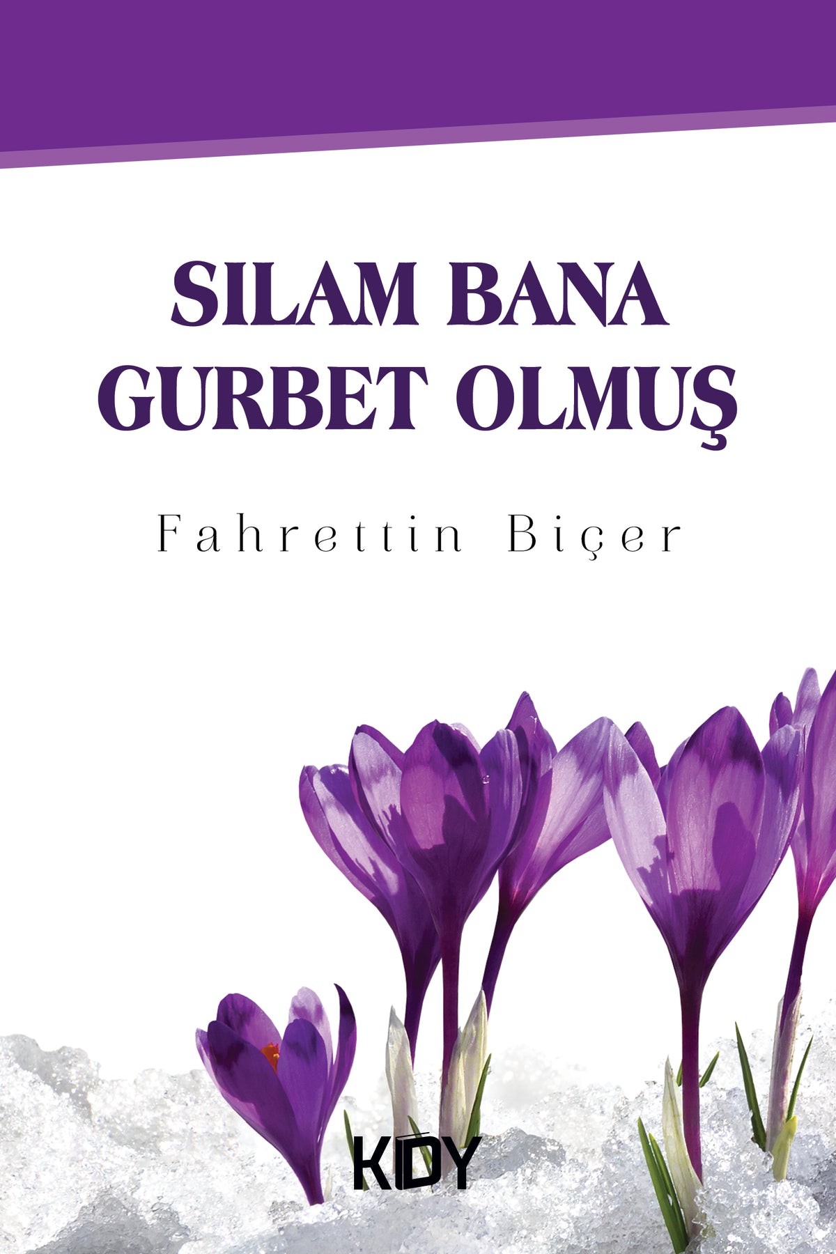 Sılam Bana Gurbet Olmuş - Fahrettin Biçer kitap kapağı