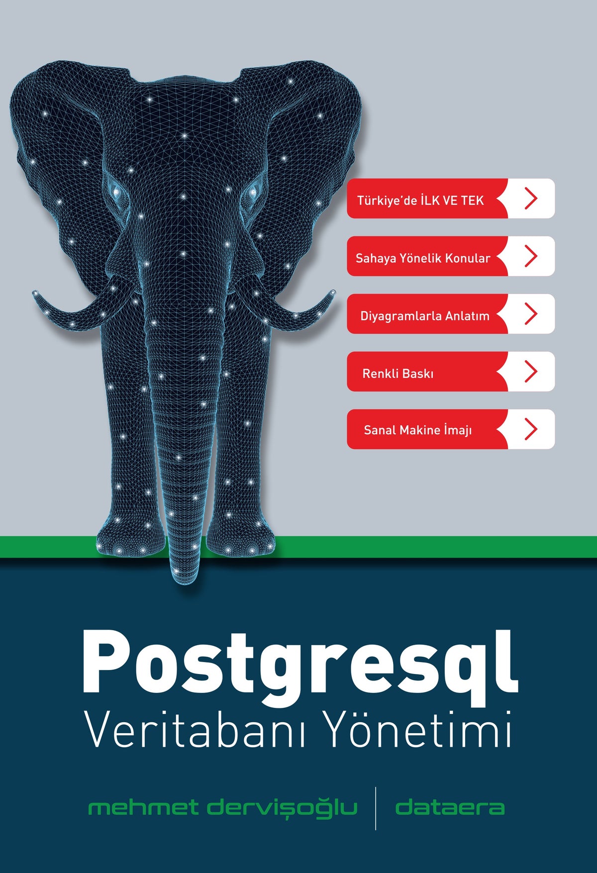 Postgresql Veritabanı Yönetimi - Mehmet Dervişoğlu kitap kapağı