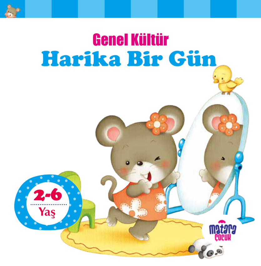 Mirador Harika Bir Gün / Genel Kültür - Kolektif kitap kapağı