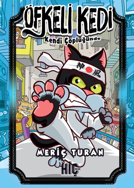 Öfkeli Kedi - Meriç Turan kitap kapağı