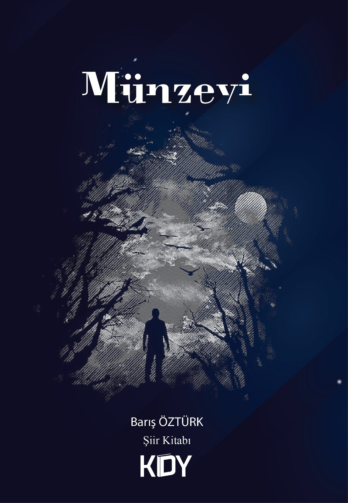 Münzevi - Barış Öztürk kitap kapağı