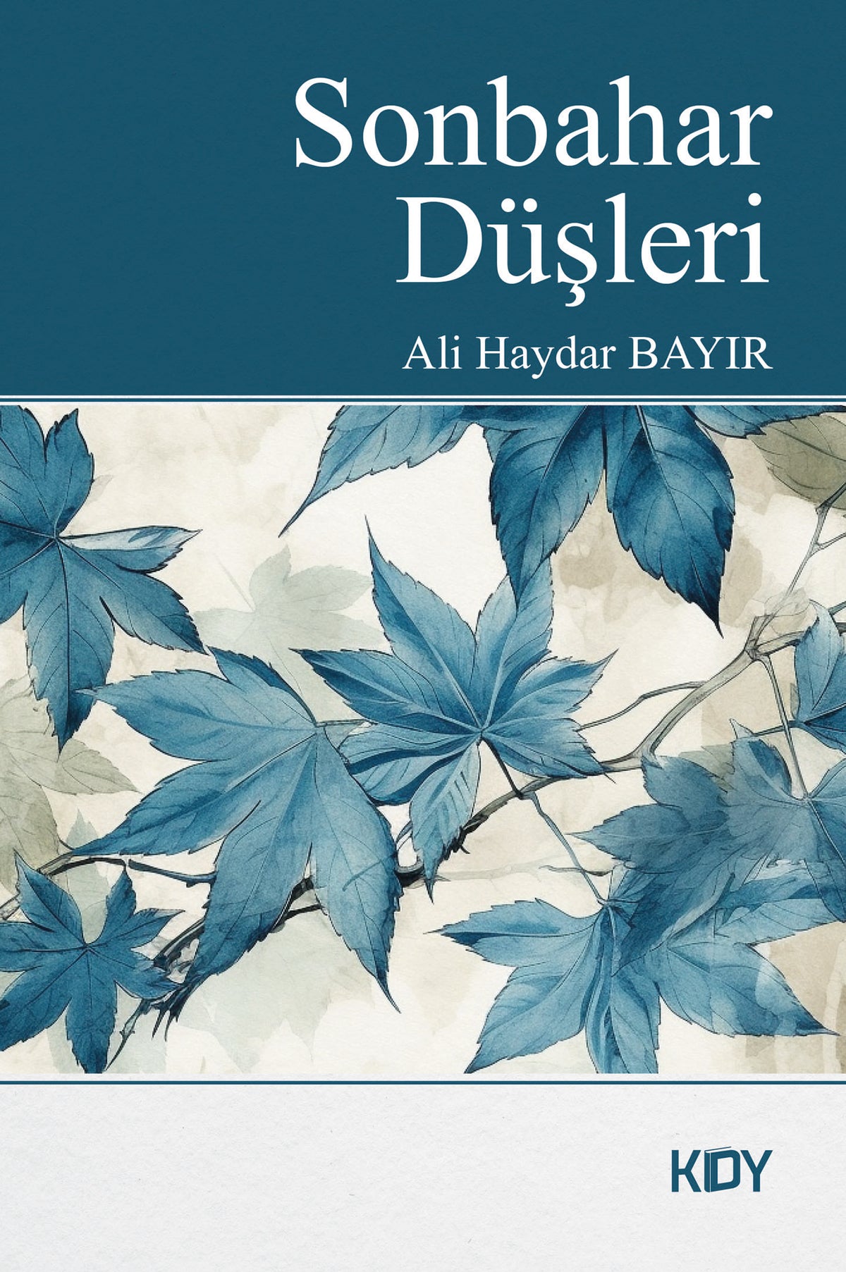 Sonbahar Düşleri - Ali Haydar Bayır kitap kapağı