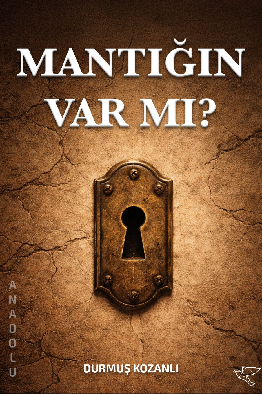 Mantığın Var mı? - Durmuş Kozanlı kitap kapağı