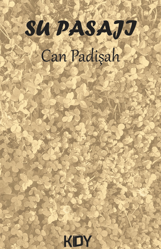 Su Pasajı - Can Padişah kitap kapağı
