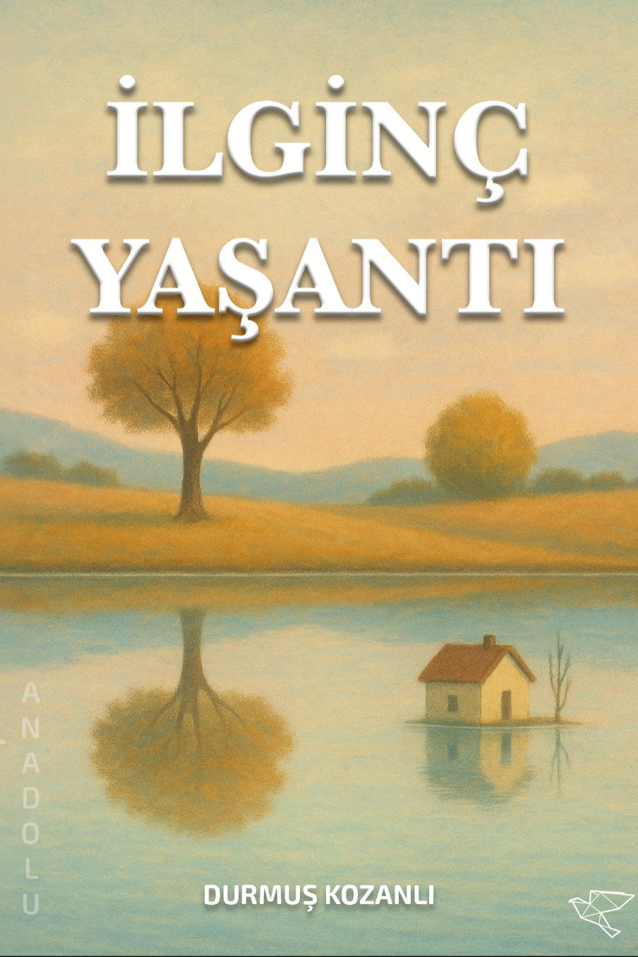 İlginç Yaşantı - Durmuş Kozanlı kitap kapağı
